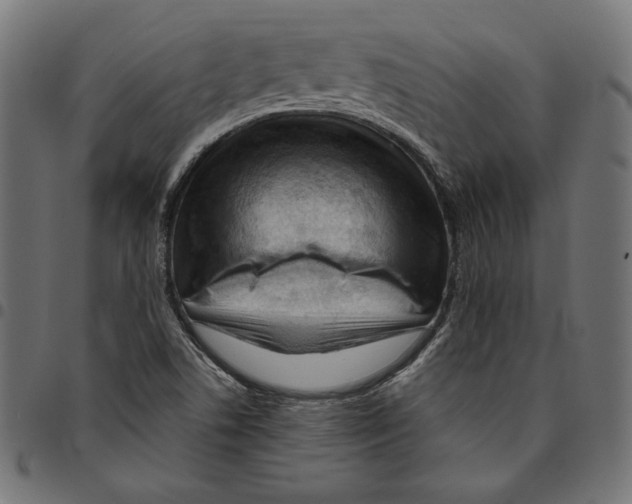 X0000094781506200712141608