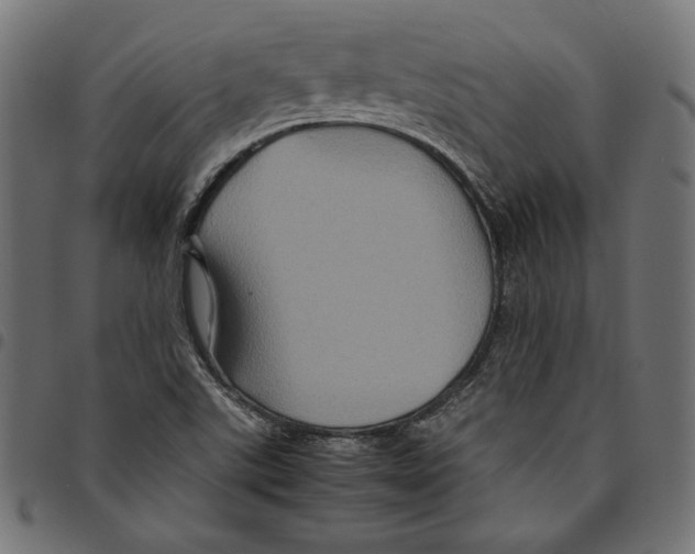 X0000094781507200712141608