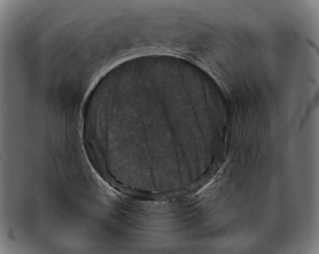 X0000094781508200712141608