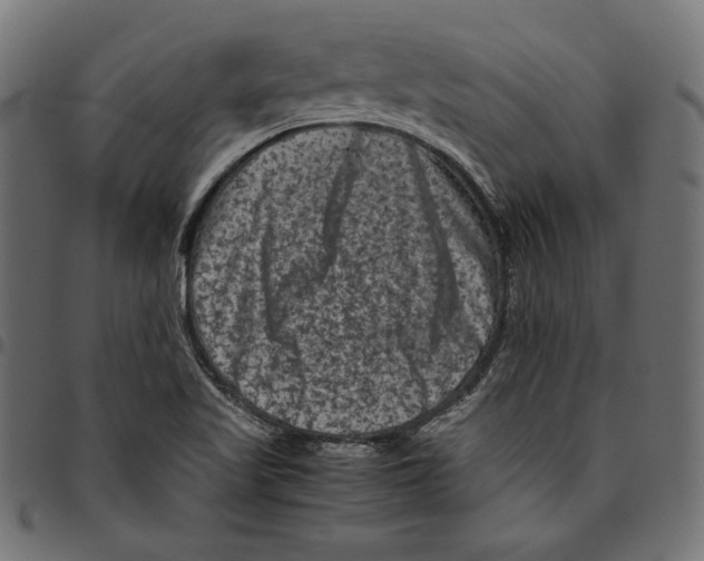 X0000094781509200712141608