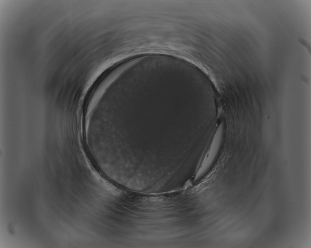 X0000094781515200712141608