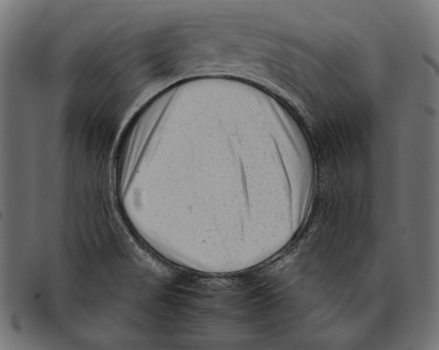 X0000094781517200712141608