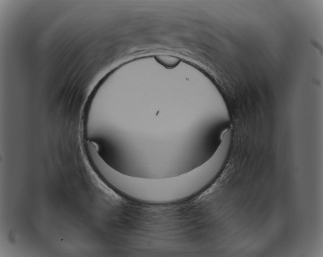 X0000094781518200712141608