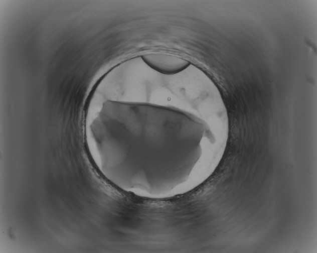 X0000094781522200712141608