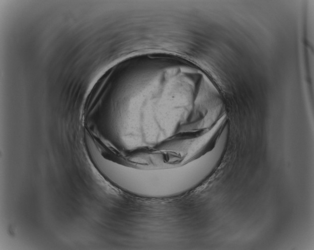 X0000094781524200712141608