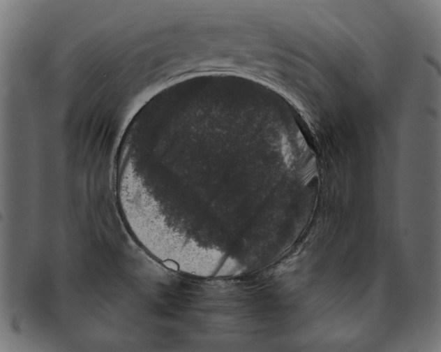 X0000094781527200712141608