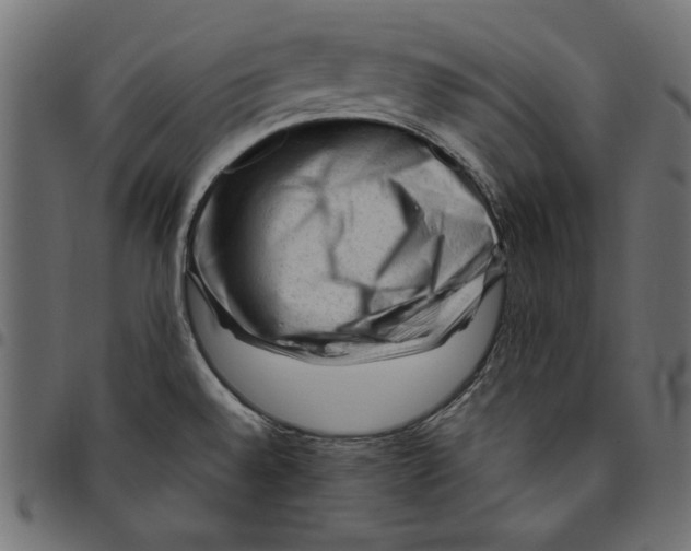 X0000094781528200712141608