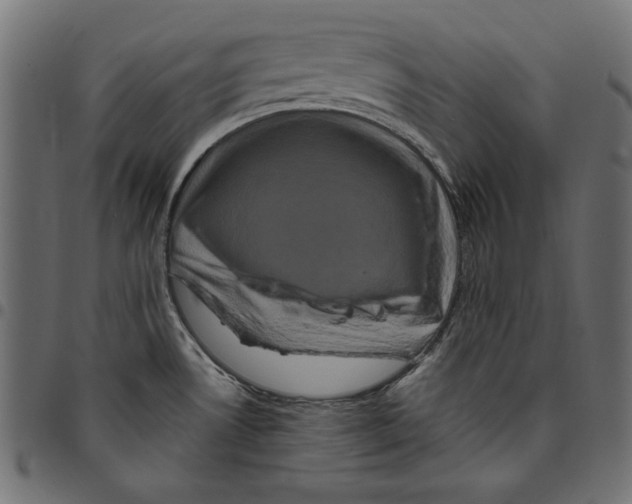 X0000094781530200712141608