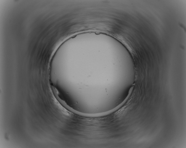 X0000094781532200712141608