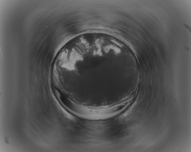 X0000094781533200712141608