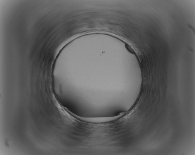 X0000094781534200712141608