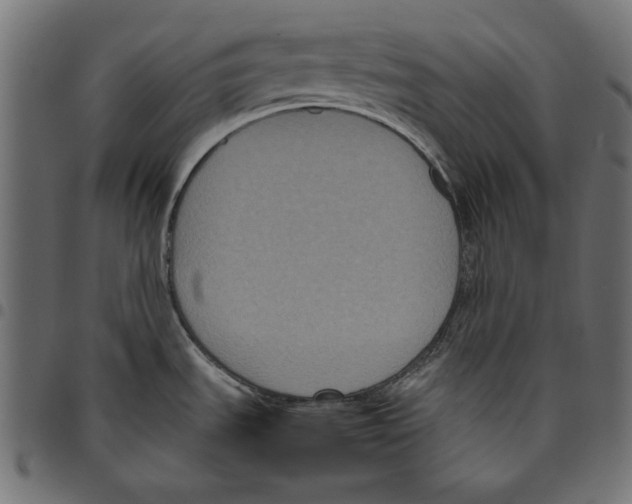 X0000094781535200712141608