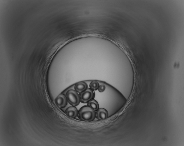X0000094790001200711160928