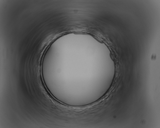 X0000094790002200711160928