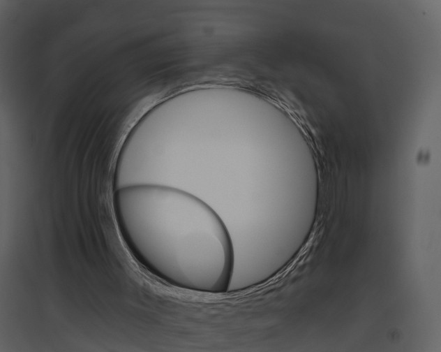 X0000094790003200711160928