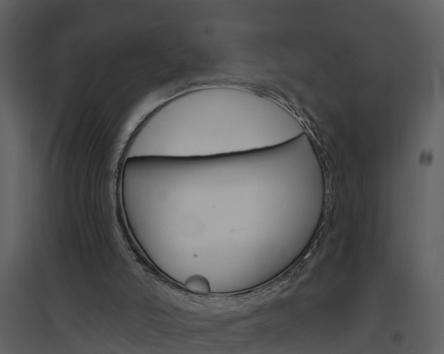 X0000094790006200711160927