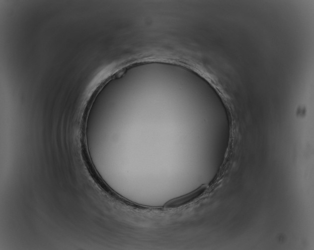X0000094790007200711160927
