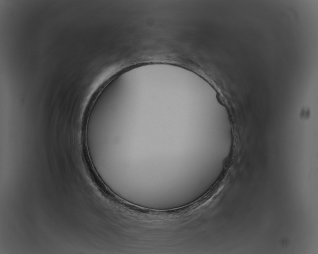 X0000094790008200711160927