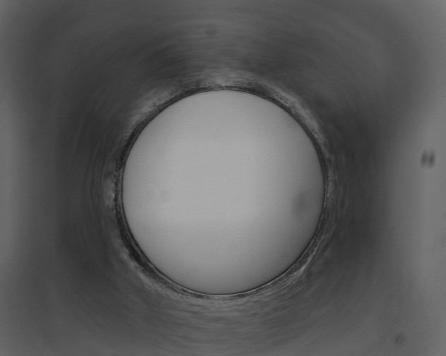 X0000094790010200711160927