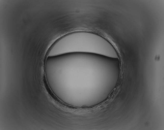 X0000094790011200711160927