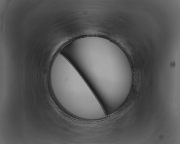 X0000094790015200711160927