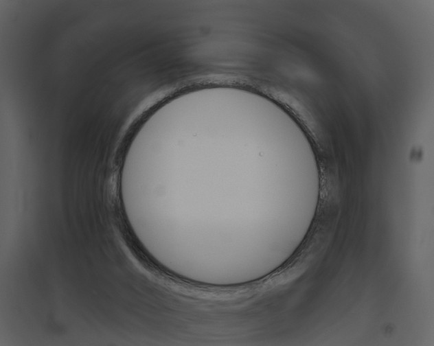 X0000094790016200711160927