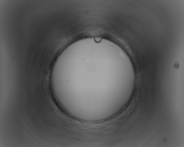 X0000094790018200711160927