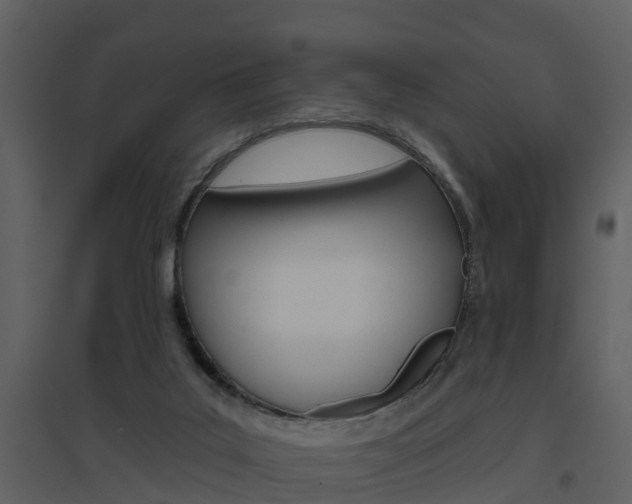X0000094790019200711160927
