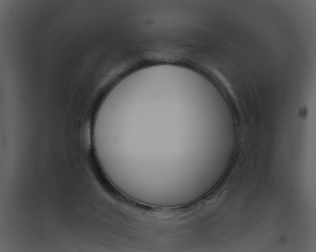X0000094790020200711160927
