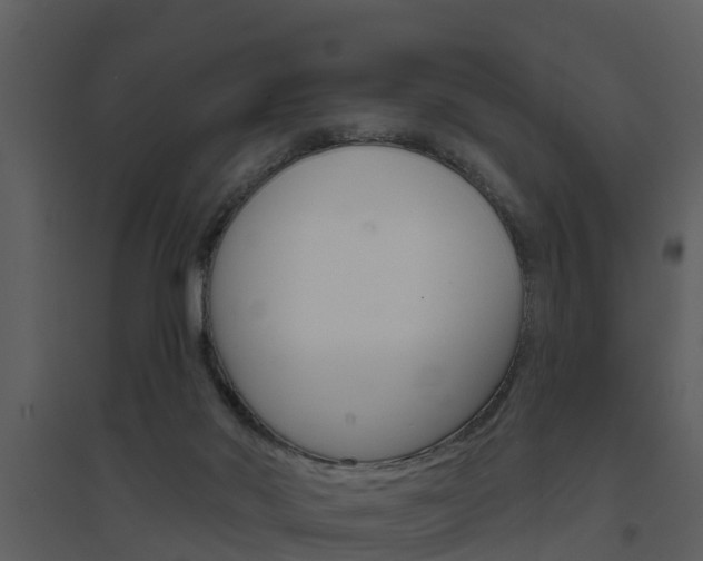 X0000094790022200711160927