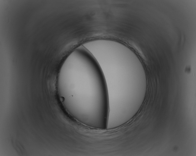 X0000094790023200711160927