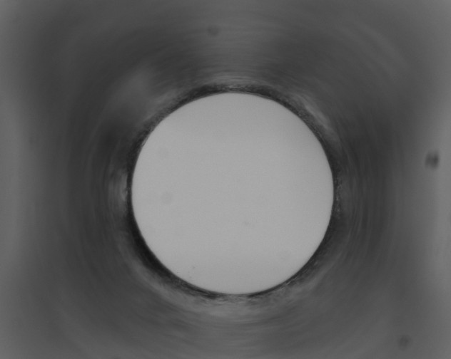 X0000094790024200711160927