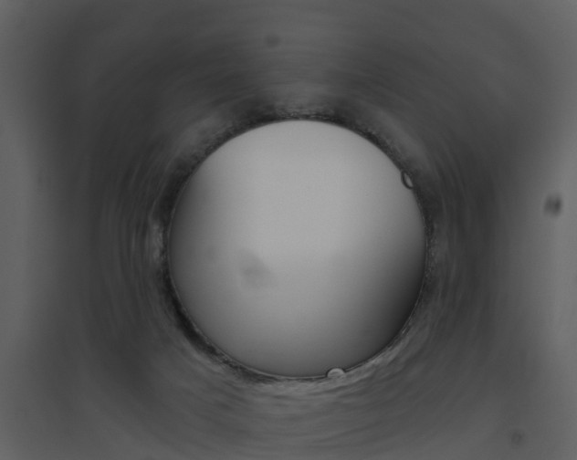 X0000094790025200711160927