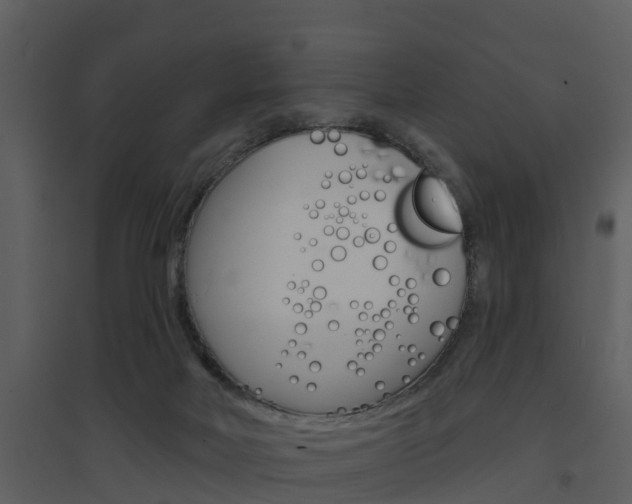 X0000094790026200711160927
