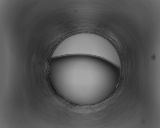 X0000094790029200711160927