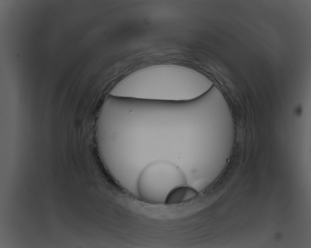 X0000094790030200711160927