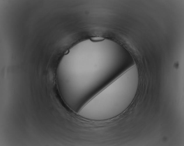 X0000094790031200711160927