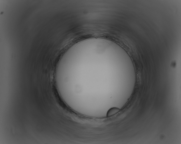 X0000094790032200711160927