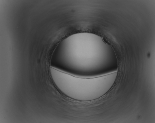 X0000094790039200711160927