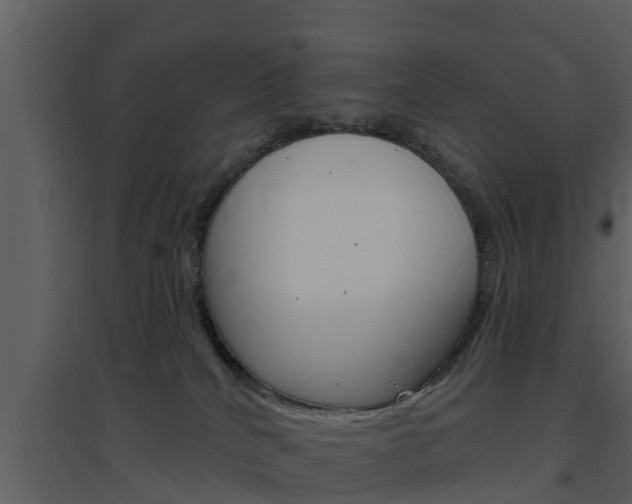 X0000094790040200711160927