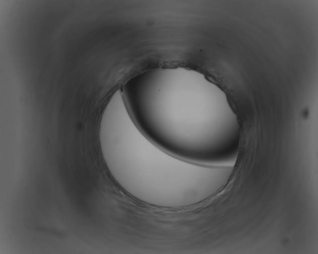 X0000094790041200711160927