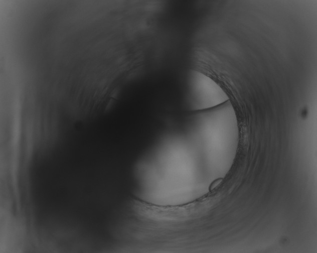 X0000094790042200711160927
