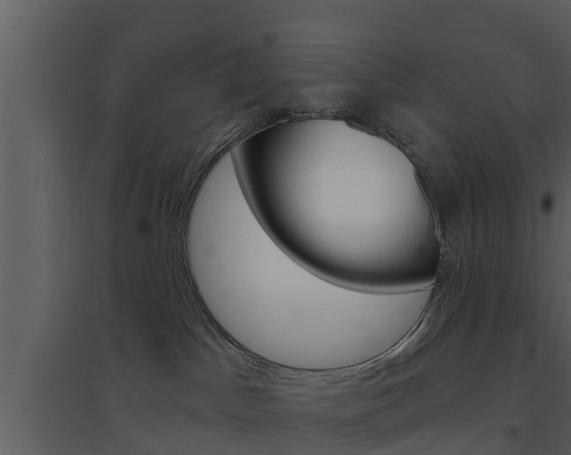 X0000094790045200711160927
