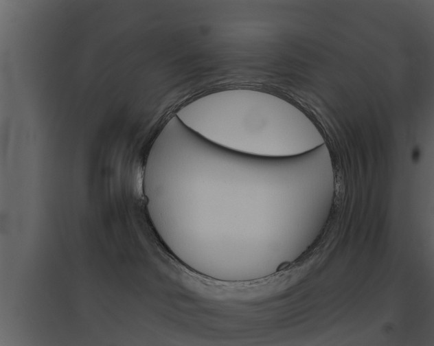 X0000094790046200711160927