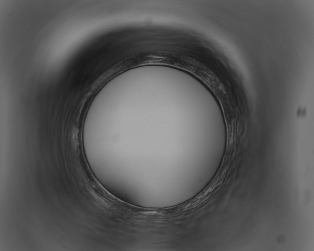X0000094790050200711160926