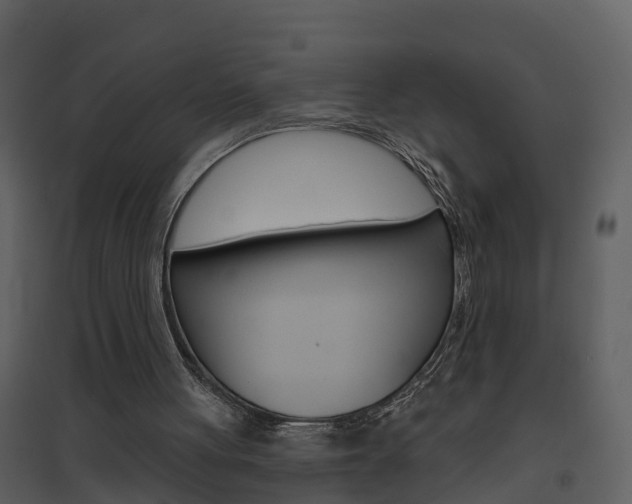 X0000094790051200711160926