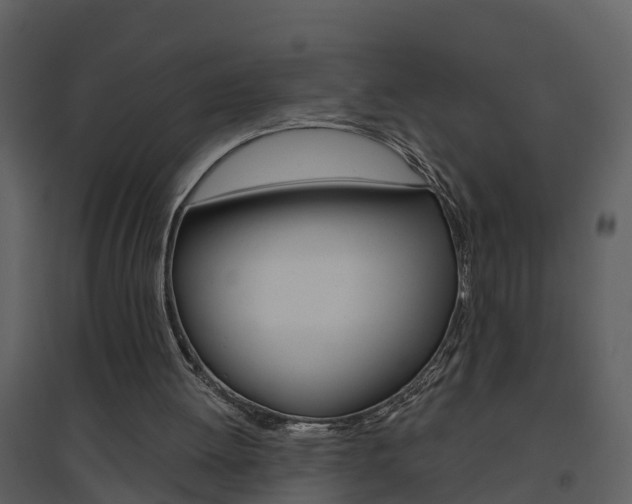 X0000094790052200711160926