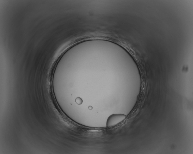 X0000094790053200711160926