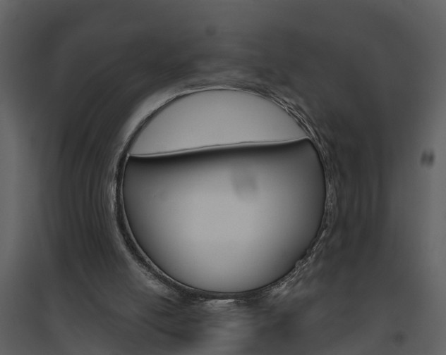 X0000094790054200711160926