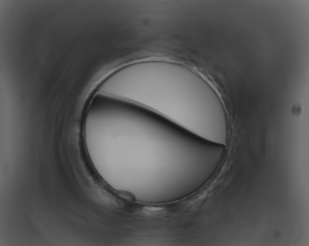 X0000094790055200711160926